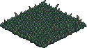 Thorny grass.png