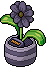 File:Charcoal Daisy.png