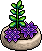 File:Purple Succulent Plant.png
