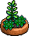 File:Green Succulent Plant.png