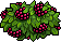 Raspberry Bush.png
