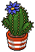 File:Azure Crown Cactus.png