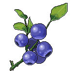 File:Summer blueberry right.png