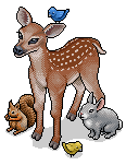 Enchanted Woodland Critters.png