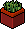 File:Small classic3 plant 1.png