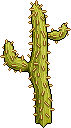 Spikycactus.png