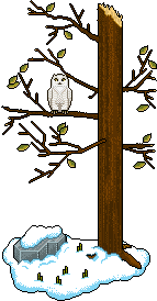 File:Tree owl.gif