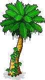 File:Palm Tree.png