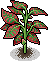 Easter c22 redtippedplant.png