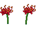 Flower2.png