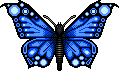 File:Butterfly 01.png