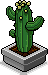 File:Cactus.gif