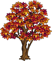 Ancient Maple Tree.png