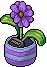 File:Lilac Daisy.png