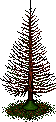 File:Old Christmas Tree.gif