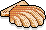 File:Clam Shell.png