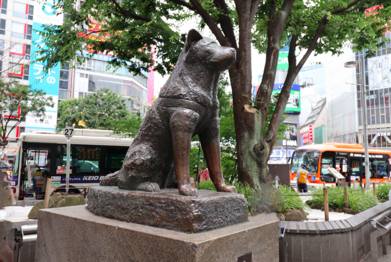 File:Statue of Hachikō by Teru Andō.png