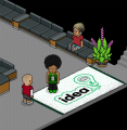 The Rug in the Museum of Habbo