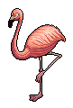 Flamingo.png