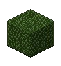 File:BB Grass2.png