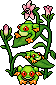 Tree Frog.png