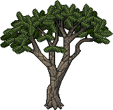 File:Savannah tree 1.gif