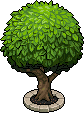 File:Round Tree.png