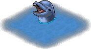 Amiable Dolphin.png