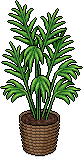 File:Bohogarden c21 fanpalm.png
