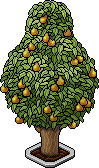 File:Eco tree pear 001.gif