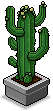 File:Mature cactus.gif