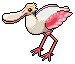 File:Spoonbill.png