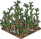 BambooForest.png