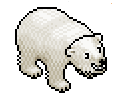 File:Polar Bear.png