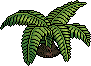 File:Cycad Plant.png