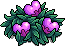 File:Fairy Fruit.png
