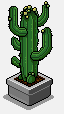 Mature cactus.png