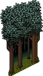 File:Haunted Forest.gif