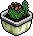 Eco Cactus 1
