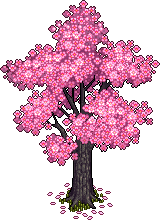 File:Sakura Tree.png