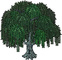 Weeping Willow.png