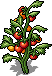 File:Ranch c26 big tomato.png