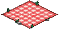 Red Picnic Blanket.png
