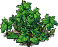 Thumbnail for version as of 21:01, 13 May 2026