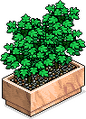 Thumbnail for version as of 07:47, 19 May 2026