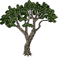 Savannah tree 1.gif