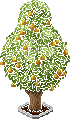 Eco tree pear 001.gif