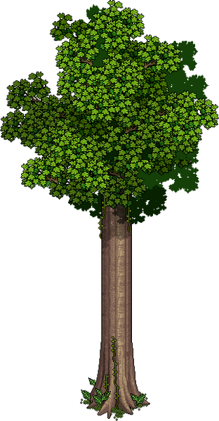 File:Anc talltree.png