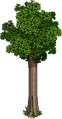 Thumbnail for version as of 04:02, 23 June 2026