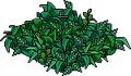 Thumbnail for version as of 09:06, 16 June 2026